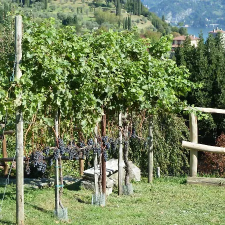 Il Crotto *