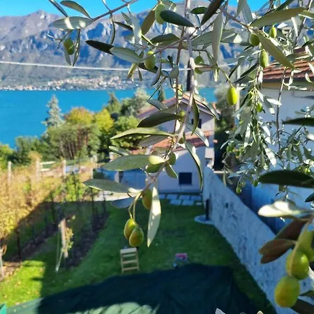 Il Crotto Holiday home